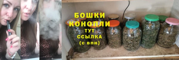 мдпв Михайлов