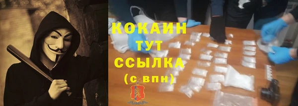 мдпв Михайлов