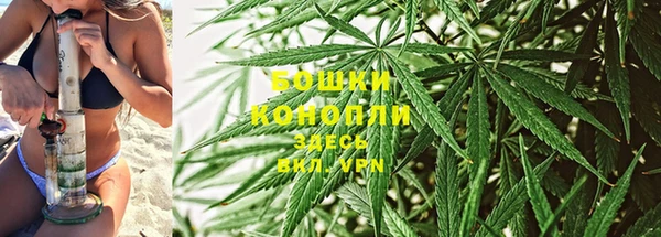 мдпв Михайлов