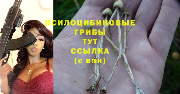 первитин Михайловка