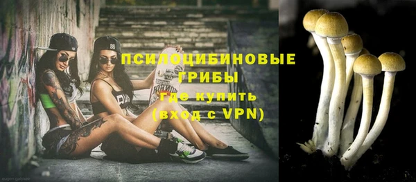 мдпв Михайлов