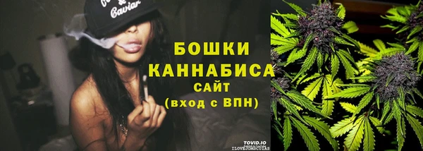 мдпв Михайлов